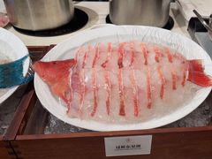 -京彩臻品火锅