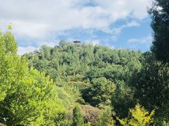 -仙居谷风景区