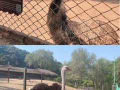 -沈阳森林动物园