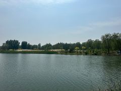 -东郊湿地公园