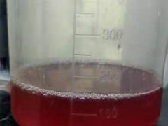 -萌兽医馆·宠物医院·猫骨科(创景店)