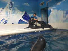 -成都浩海立方海洋公园