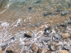 -刘家湾赶海园