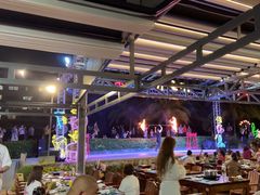 -渔家火锅·海鲜自助餐·演艺(亚龙湾天域酒店)