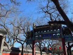 -北京国子监胡同