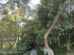 -幕燕滨江·燕子矶公园