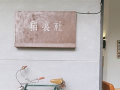 -猫里有甜