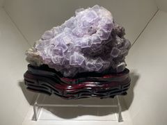 -安徽省地质博物馆