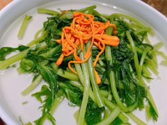 清水茼蒿-竹里馆·淮扬菜·功夫茶(老门东店)