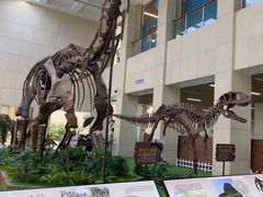 -广西壮族自治区博物馆