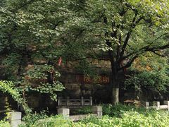 -佛慧山