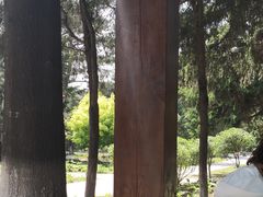 -东北大学(南湖校区)