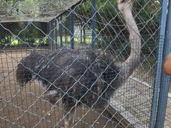 -长白岛森林公园