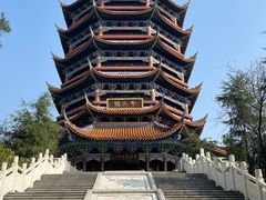 -铁山坪森林公园