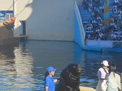 -秦皇岛乐岛海洋王国