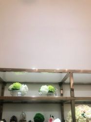 -MIDA蜜哒•科技逆龄美肤连锁