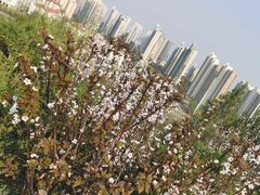 -南翠屏公园