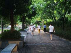 -松坪山公园