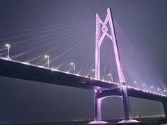 -招商蛇口邮轮母港(观光客运)