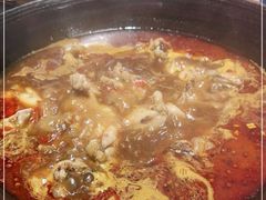 -老天桥蛙炉火锅(姑苏总店)