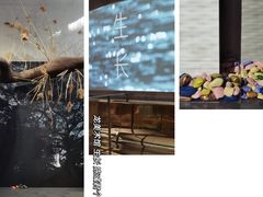 -龙美术馆(西岸馆)