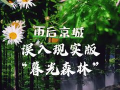 -国家植物园