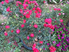 -人民公园(罗湖区)