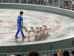 -石家庄市动物园