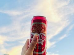 -武陵山森林公园