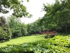 -上海市保健医疗中心(华东疗养院)