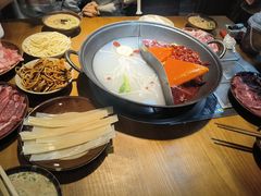 -阳阳老火锅(小南门店)