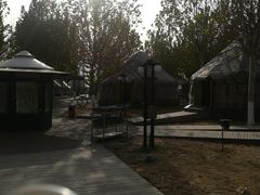 -九十九顶毡房(阜石路店)