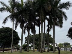 -石炮台公园