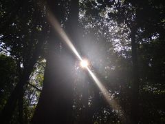 -江西阳明山国家森林公园