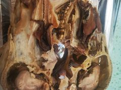-尕胡才炕锅烤羊肉馆(八一路店)