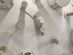 -楼上猫咖(罗湖店)