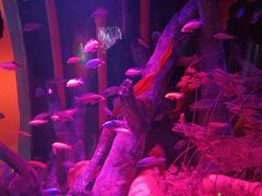 -沈阳海洋探索中心