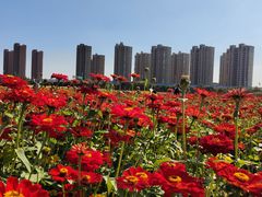 -映月湖中央公园