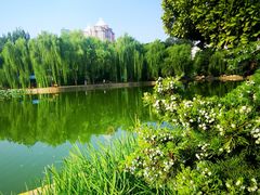 -团结湖公园