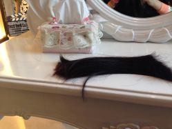 -ＤＯＭＯプロの美容サロン