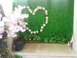 -十月贝贝百天照儿童摄影