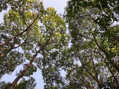 -洋湖国家湿地公园