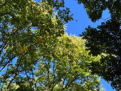 -浙江农林大学(东湖校区)