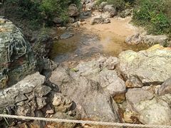 -南海湾森林生态园
