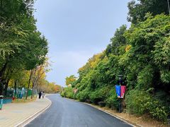 -无锡动物园·太湖欢乐园