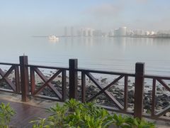 -万绿园