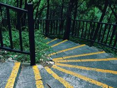 -凤岗南门山森林公园