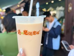 -猫的魔法密林(衣裳街店)