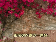 -黄埔古港