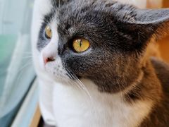 -猫和宫(六道口店)
